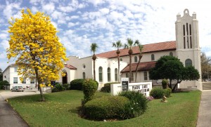 church with tabebuia feb 2014