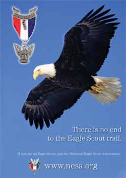 Boy scout eagle poster