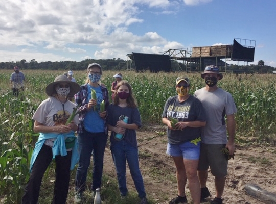 Gleaning nov 2020