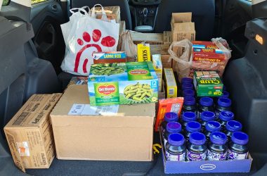 canned food 11.14.25